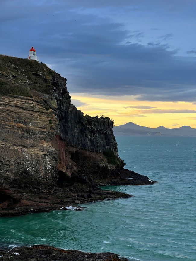 southernmost point, surfing, penguins, sea lions, rugby, billiards and Dunedin