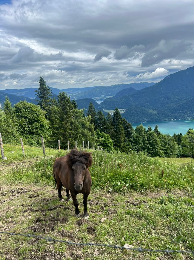 Salzbourg & Fuschlsee