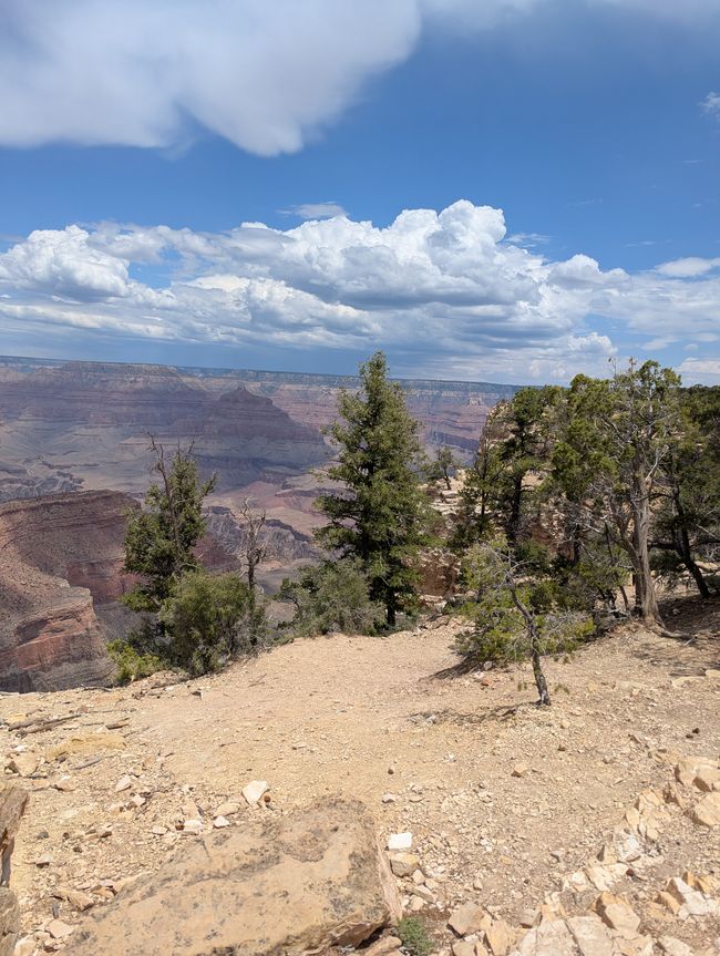 Grand Canyon
