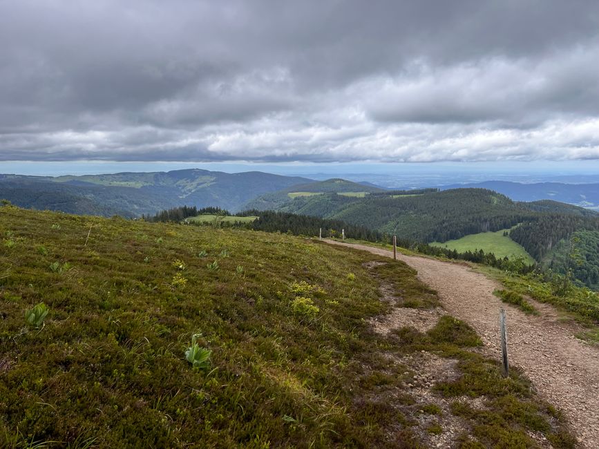 26 Feldbergsteig Escursione Pro Wolermoos