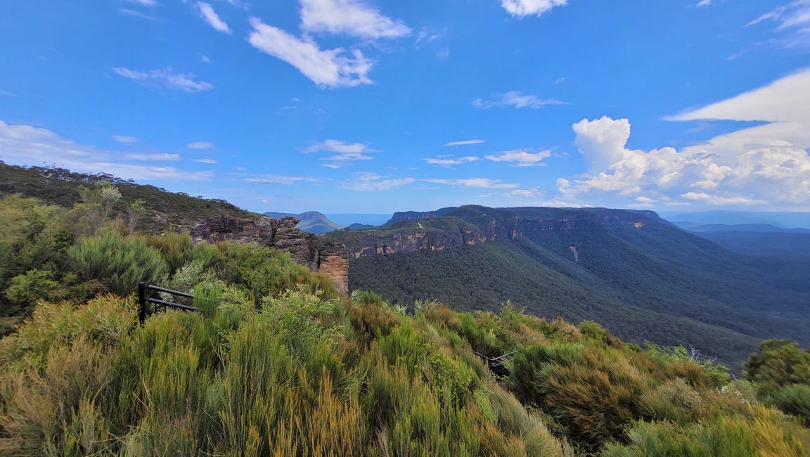 Blue Mountains – Eukalyptusbäume locken nicht nur Koalas an