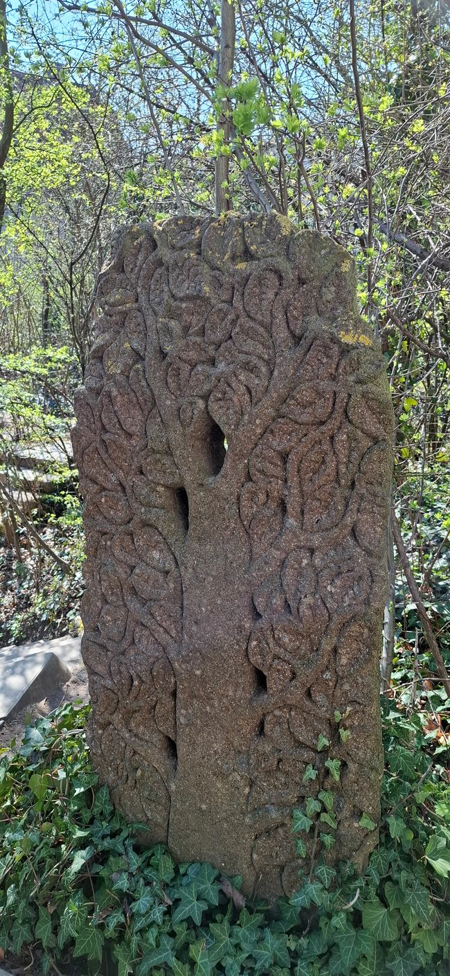 Wandern in Darmstadt 