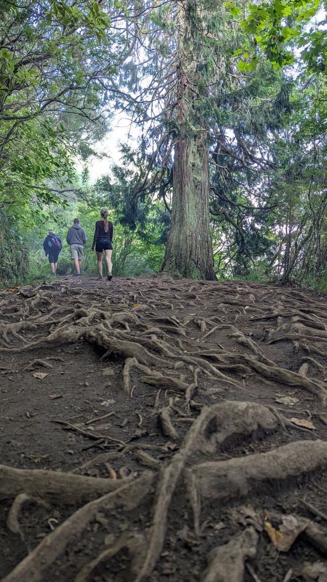 Tag 14: Levada do Caldeirão Verde & Nordküste