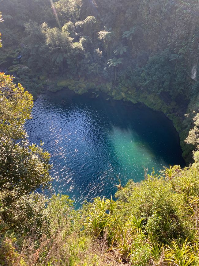 Omanawa Falls - unötige Plattform
