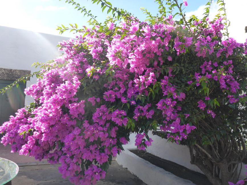 Lanzarote