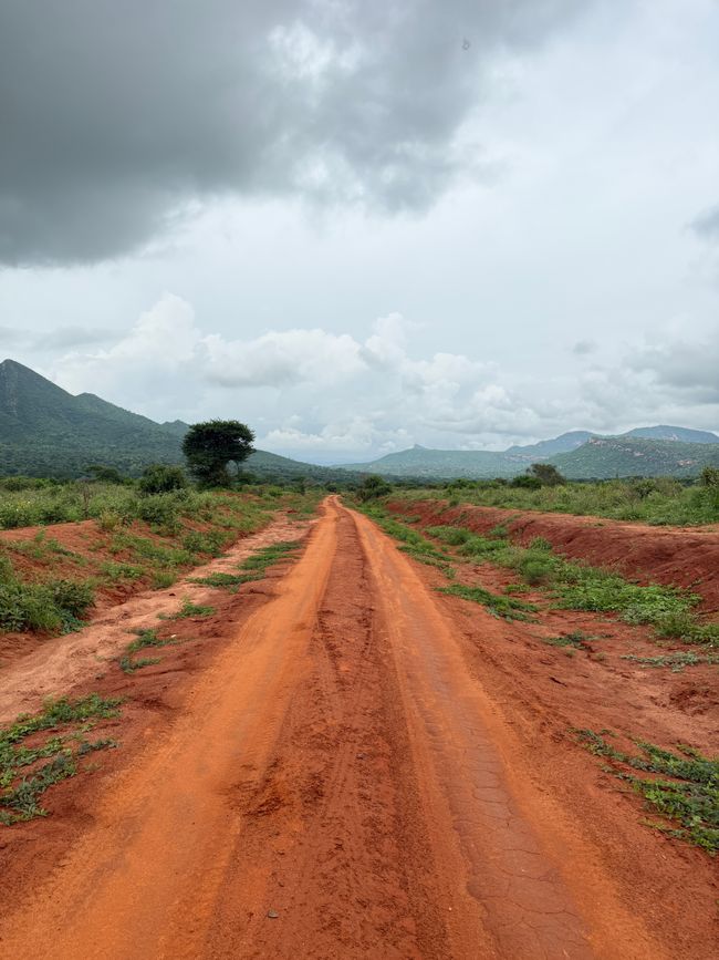 Amboseli und Tsavo West