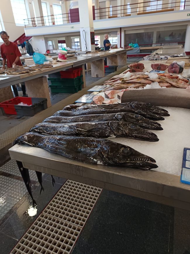 Fischmarkt Funchal 