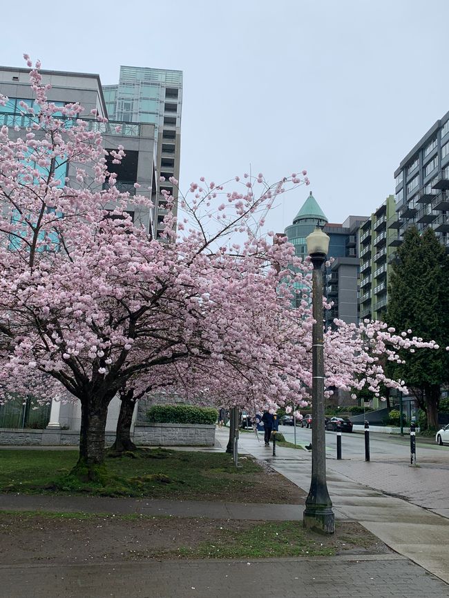 Vancouver