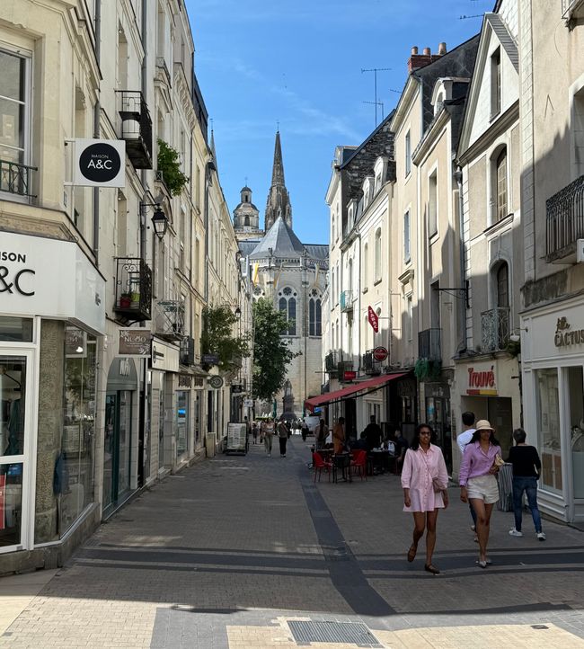 Angers Moderna