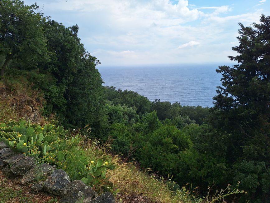 Blick von Stellplatz