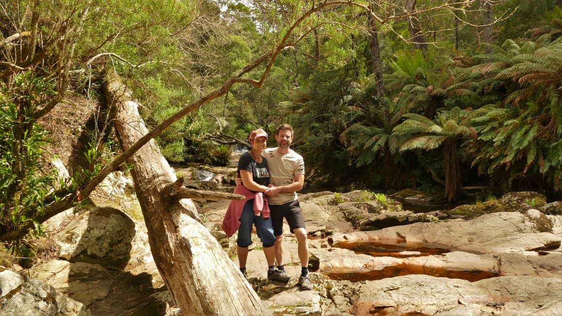 - Singapur & Tasmania 2019 -
