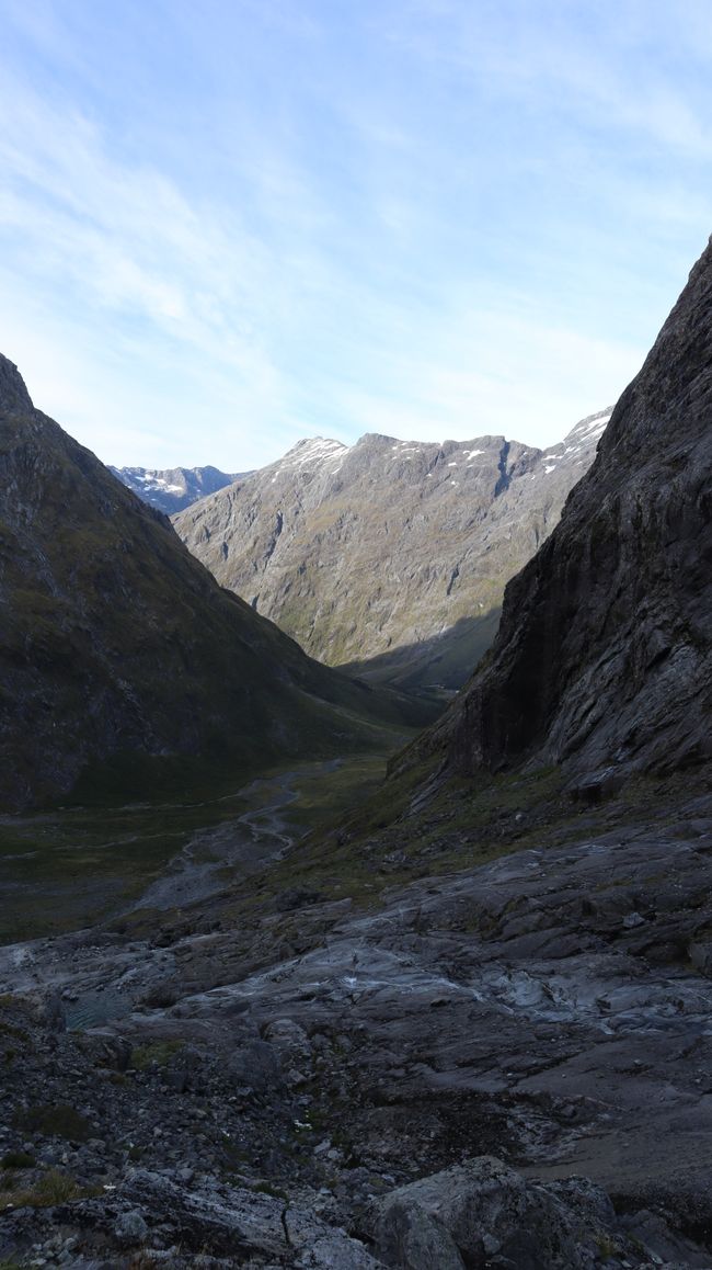 Gertrude Saddle