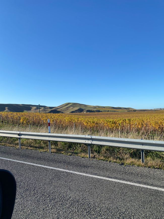 Nelson, Queen Charlotte drive, Picton, Kaikoura, Blenheim