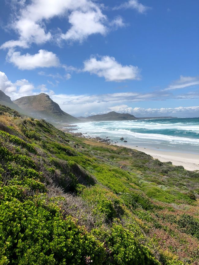 #5 - Cape Town - At the Cape of Good Hope