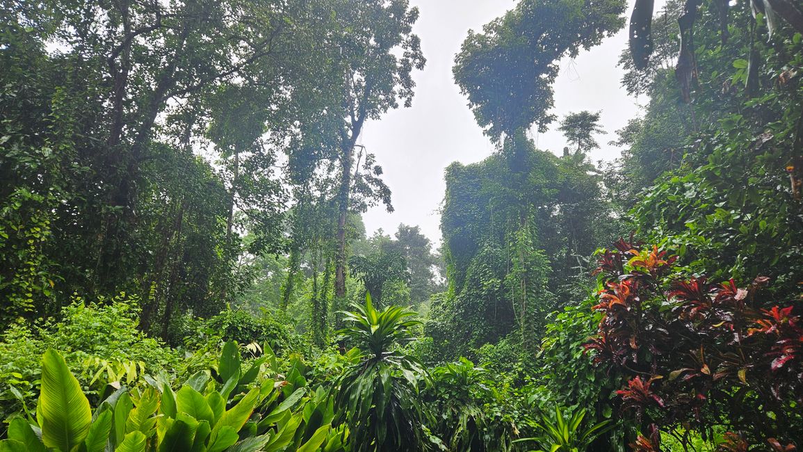 Chiang Mai