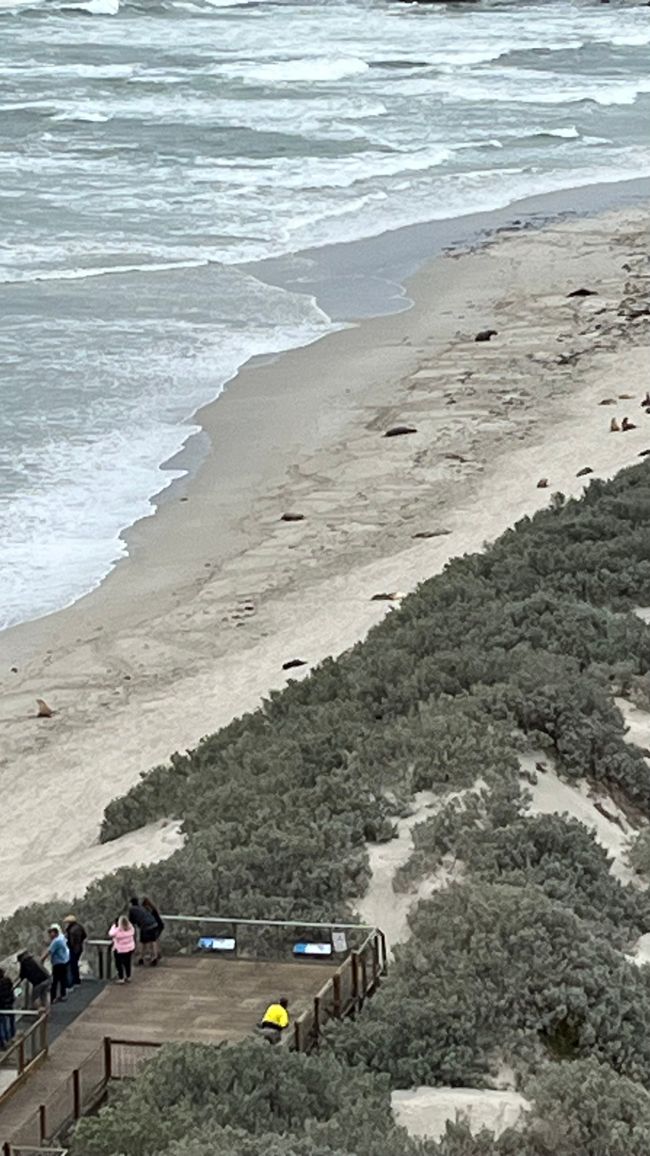 Kangaroo Island