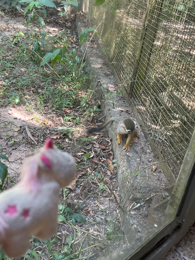Tag 16 - Phu Quoc: Tierische Higloghts und glitzerndes Einhorn
