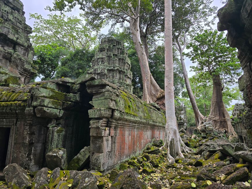 Ta Prohm