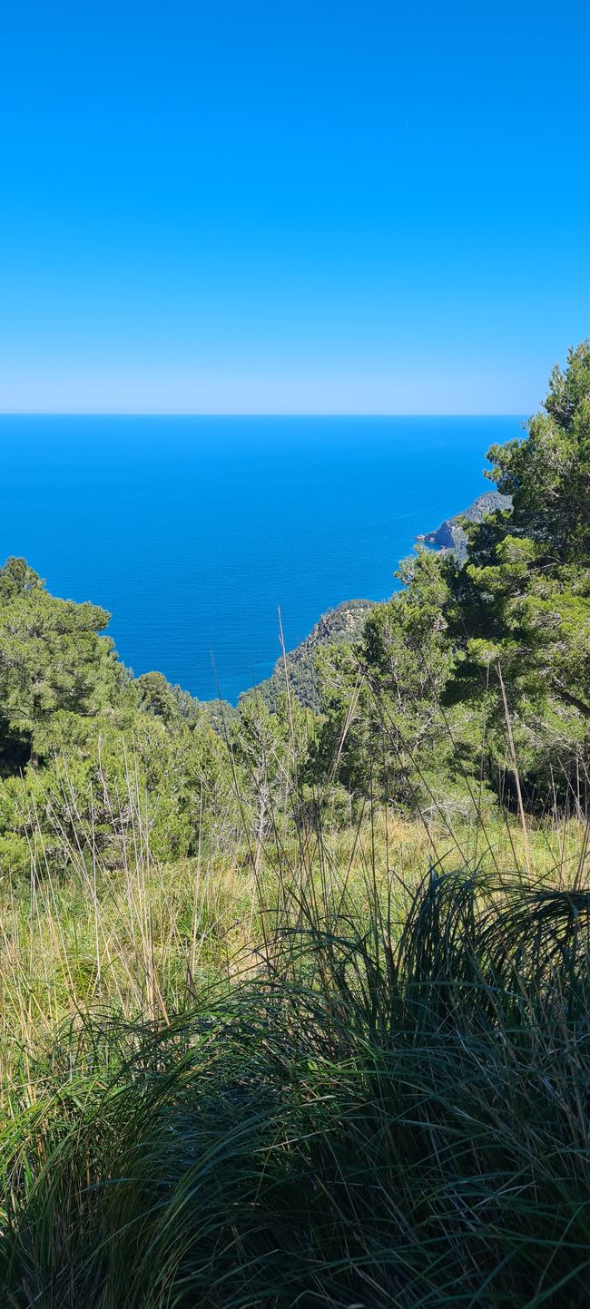 Der erste Anstieg von Finca Ses Fontanelles nach Estellencs