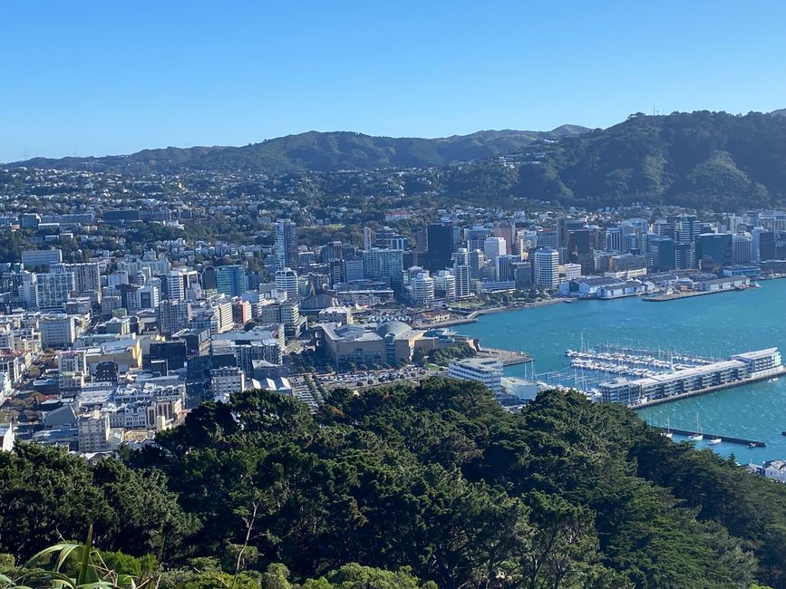 Wellington