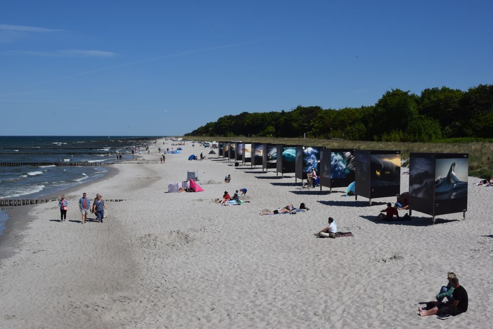 Darß und Fischland im Mai 2018
