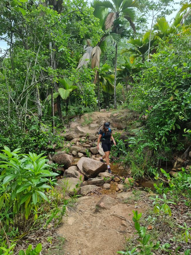 Seychellen - Tag 10: Vom schönsten auf den 2. schönsten Strand
