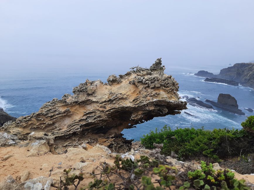 5. Etapa: con ampollas por la niebla