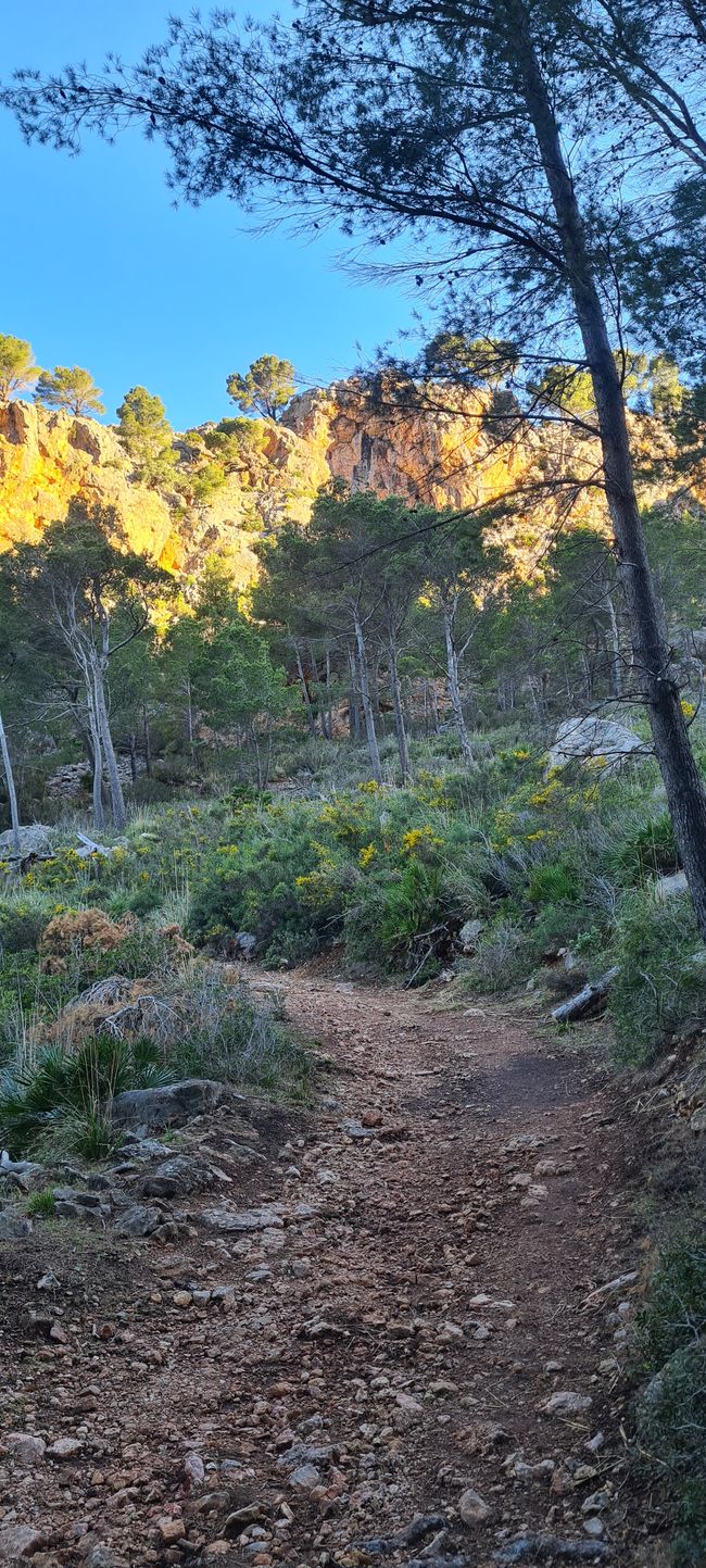 Der erste Anstieg von Finca Ses Fontanelles nach Estellencs