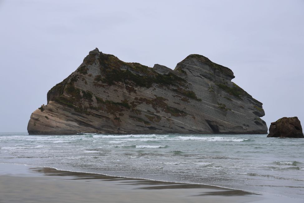 Abel Tasman