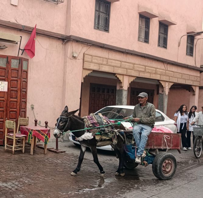 Marrakesch - im Fluss der Stadt