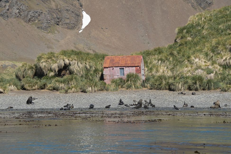 Schutzhütte / Shelter