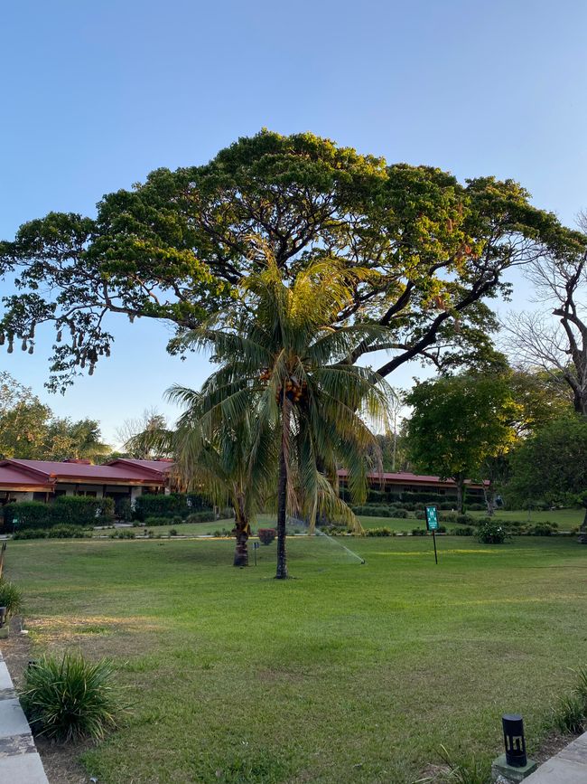 Ankunft Rincón De La Vieja