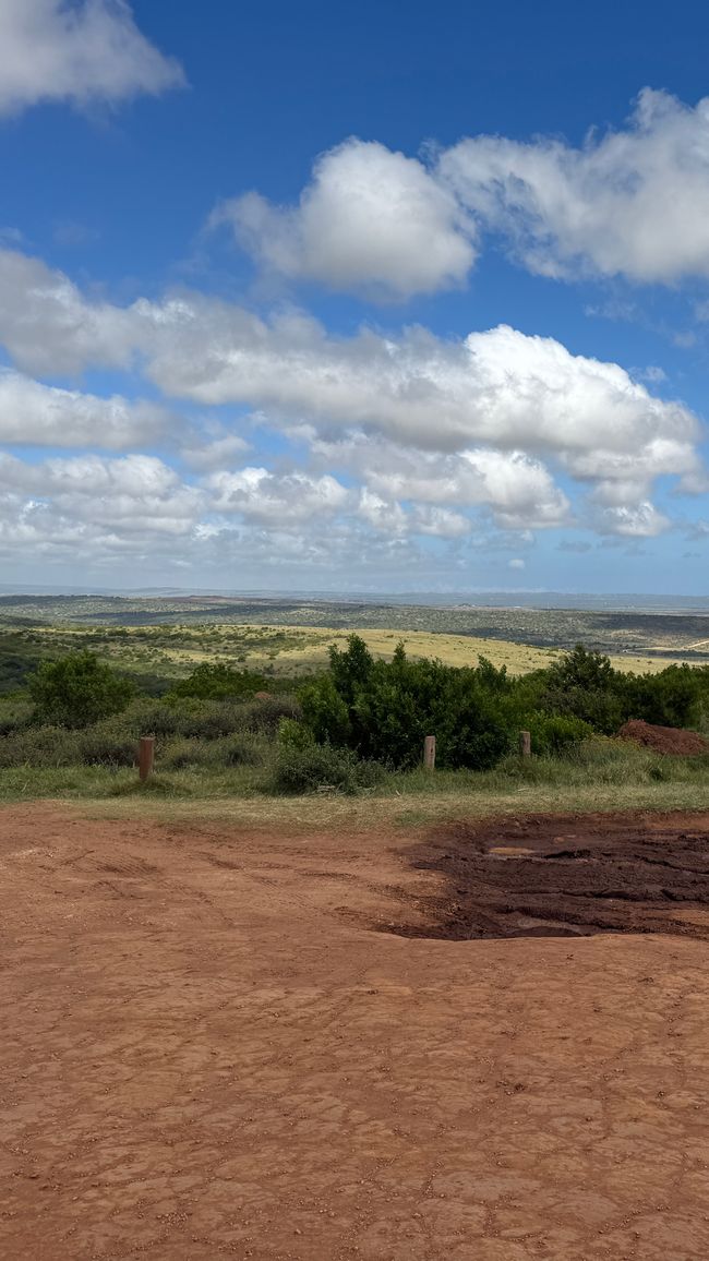 Addo Nationalpark