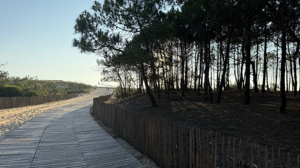 Cap Ferret