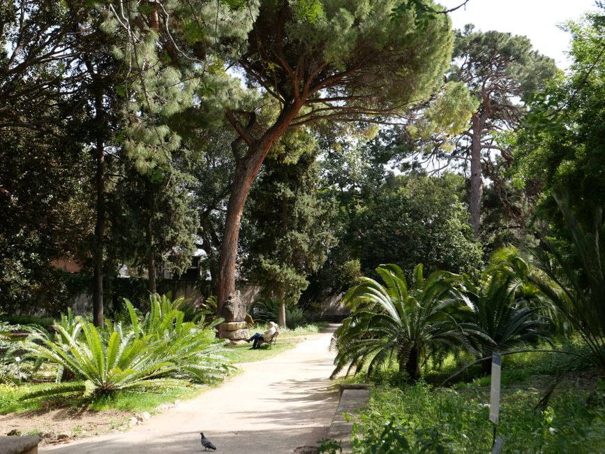 Botanical Garden 
