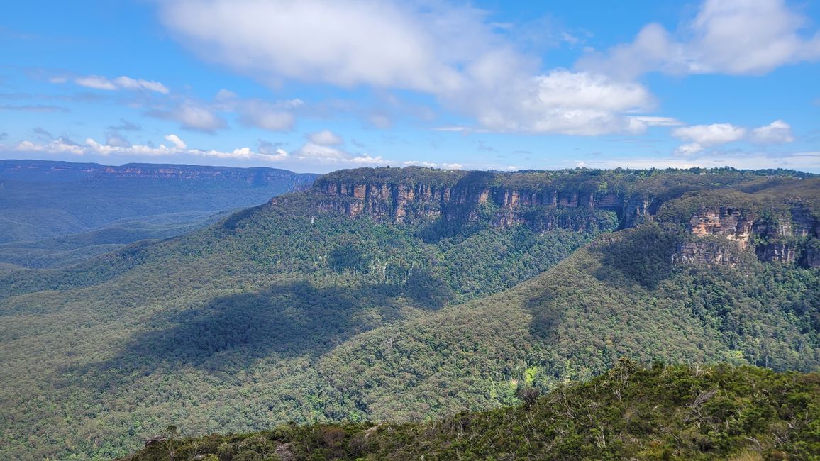 Blue Mountains – Eukalyptusbäume locken nicht nur Koalas an