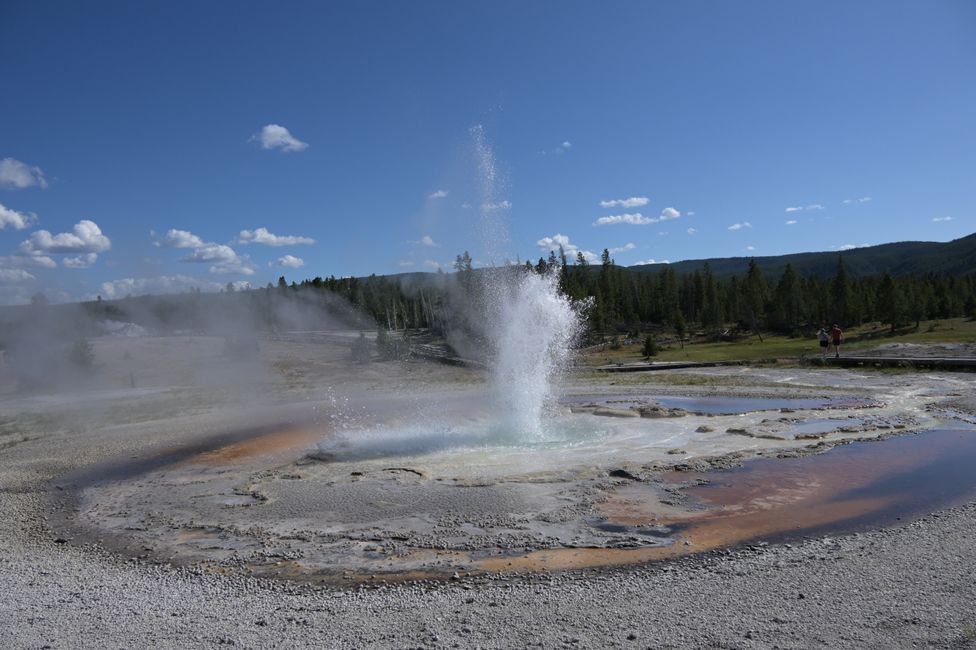 Bassin supérieur des geysers - Geyser Sawmill