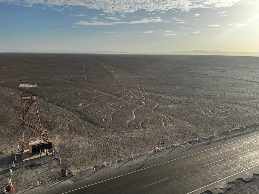 First look at the Nazca Lines