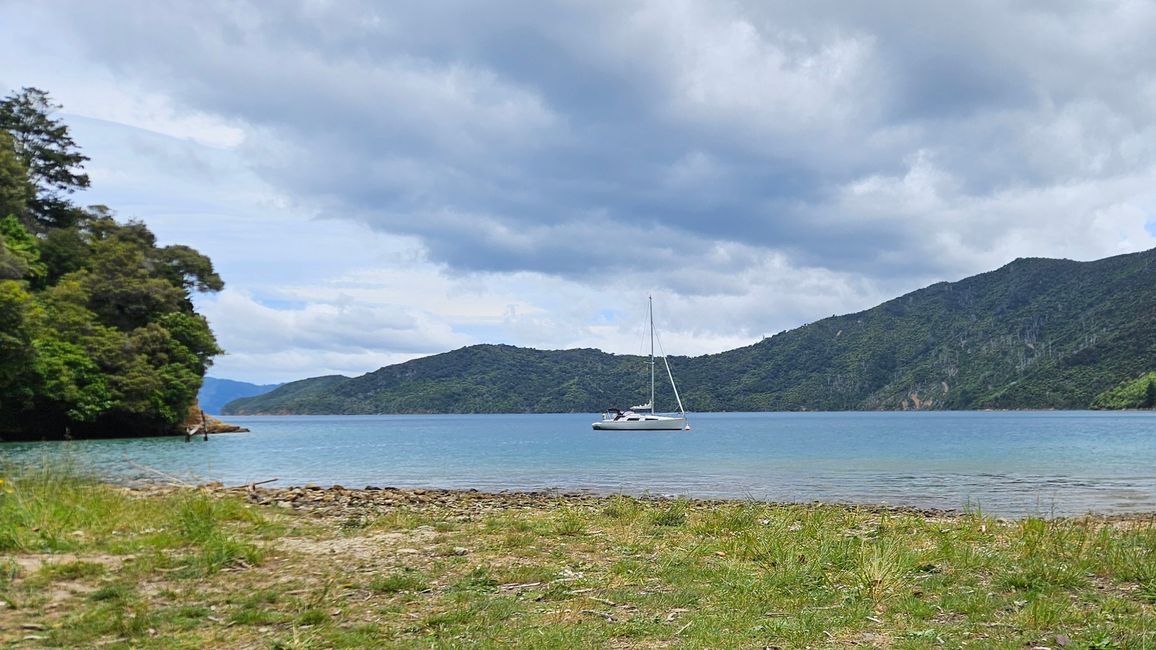 Picton - Queen Charlotte Track