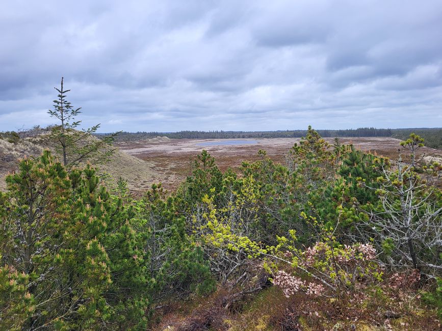 Thy National Park
