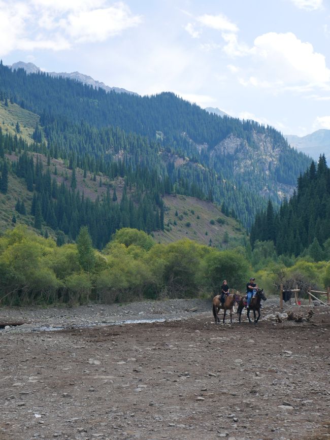 Excursión a los lagos de montaña Kaindy y Kolsai