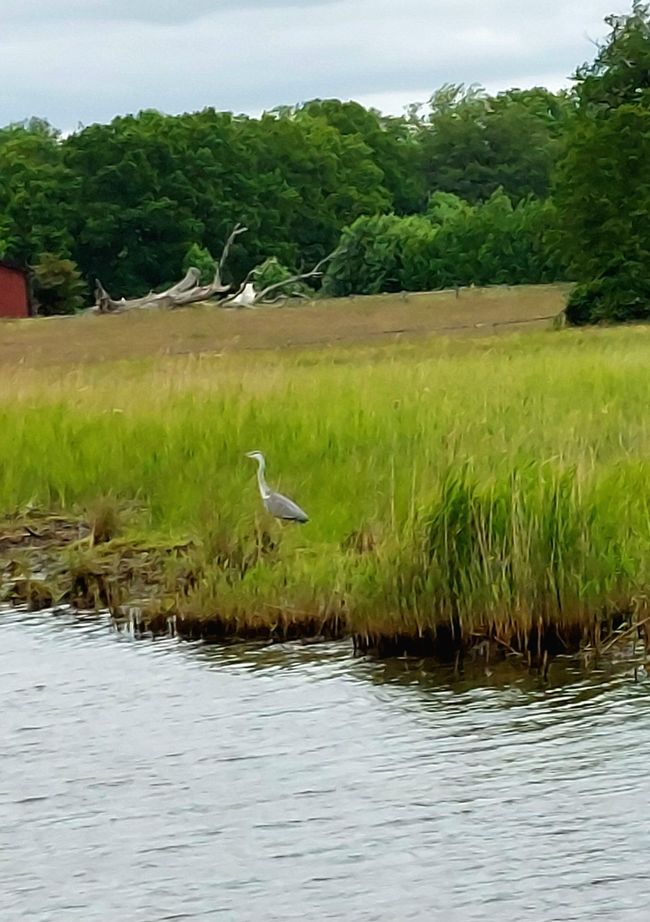 Southern Sweden Tour - Day 6