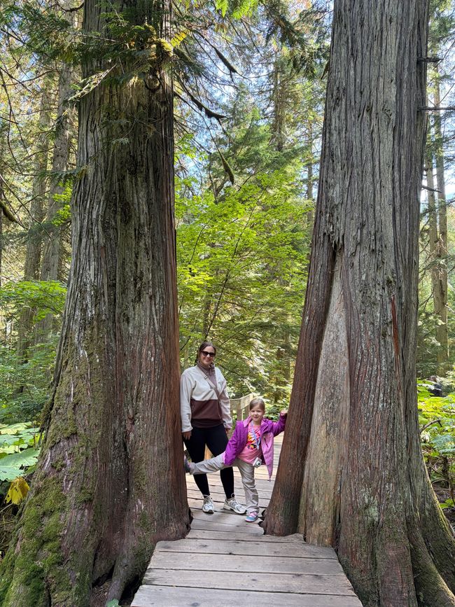 Kanada 8/21 - Revelstoke nach Banff