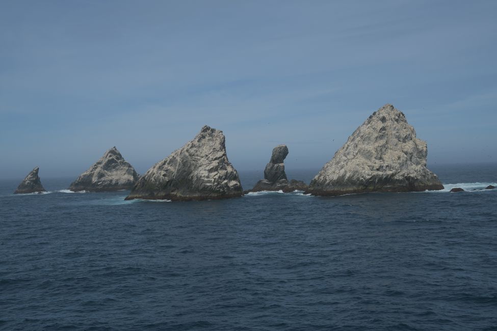 Shag Rocks