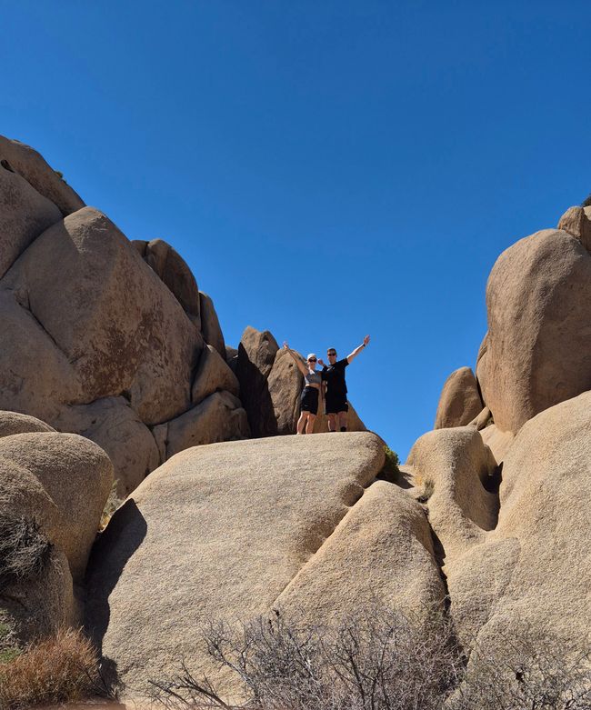 26.09. Joshua Tree Park