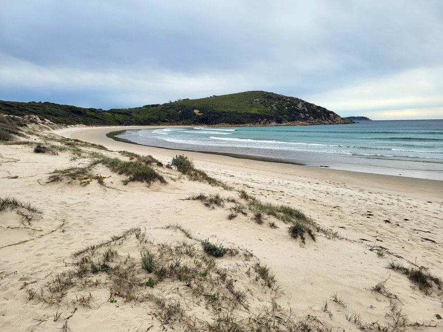 Melbourne - Wilsons-Promontory-Nationalpark