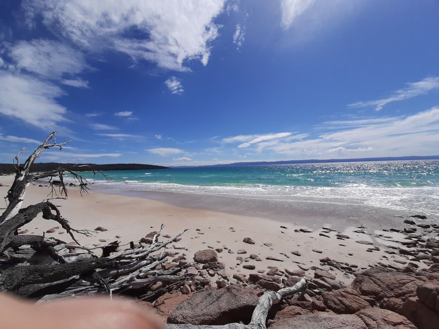 - Singapur & Tasmania 2019 -
