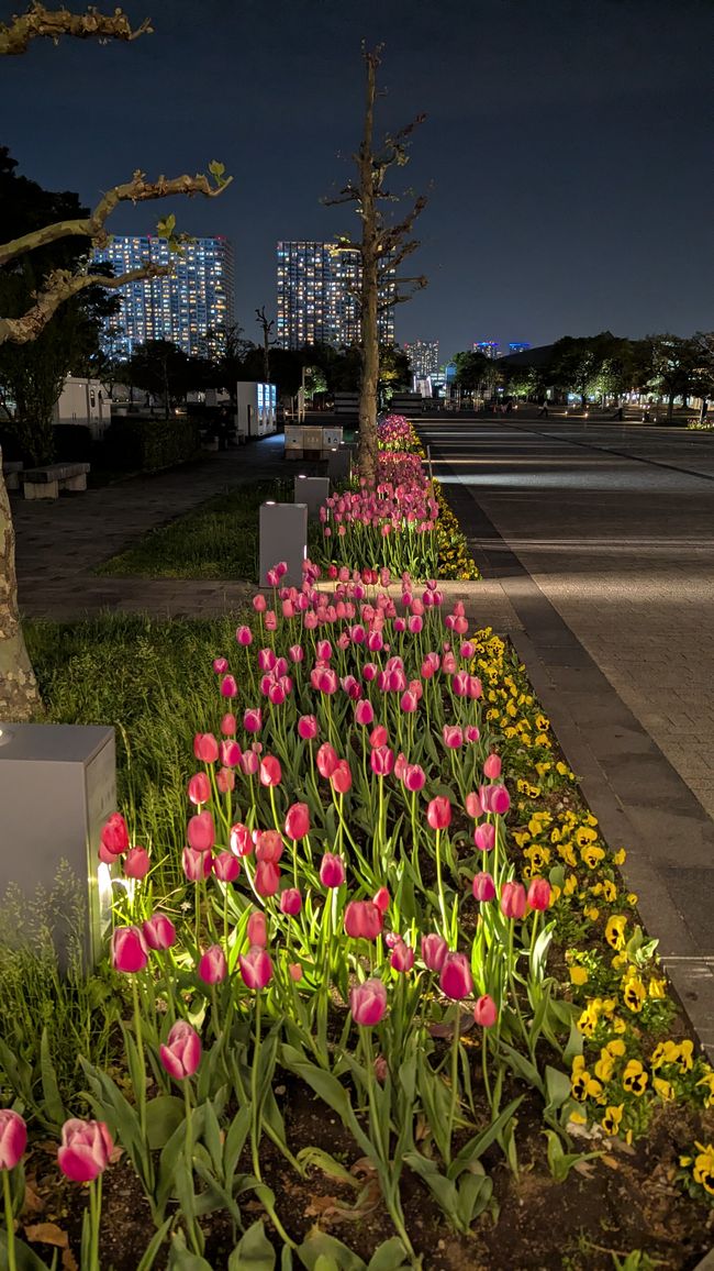 Prime impressioni di Tokyo
