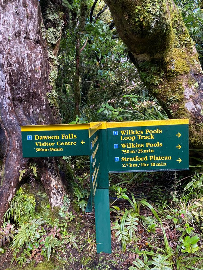 Track to the Wilkies Pools