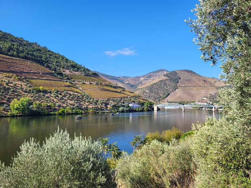 Douro 